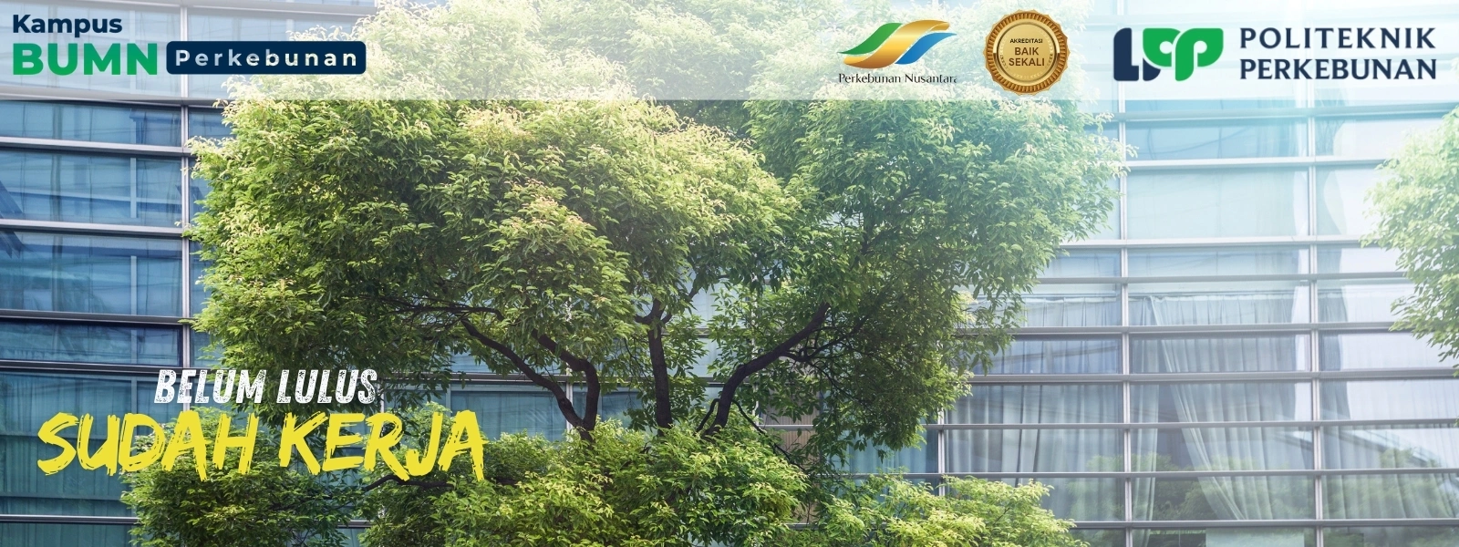 Sedang cari kampus dengan prospek kerja tinggi? Ini dia 10 rekomendasi kampus BUMN terbaik, pilih kampus terbaikmu sekarang!