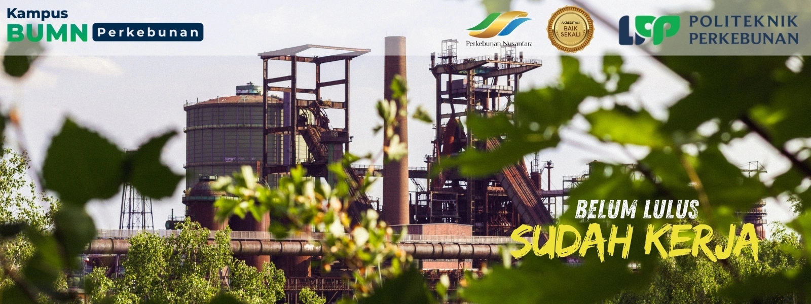 Yuk, cari tau Alasan Memilih D4 daripada S1 buat terjun ke dunia kerja. Temukan prospek kerja di Kampus BUMN Politeknik LPP Yogyakarta!