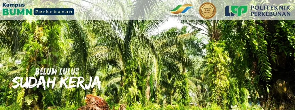 Politeknik LPP Yogyakarta kembali jadi pelopor penerima Beasiswa SDM Sawit 2025 di kota pelajar Jogja sejak 2016. Yuk, Simak cara daftarnya!