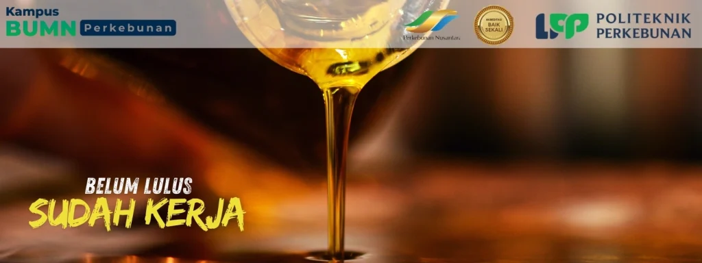 Bingung milih kampus? ini kelebihan D4 dan S1 lengkap dengan rekomendasi Kampus BUMN Politeknik LPP Yogyakarta. Prospek kerja lebih nyata!