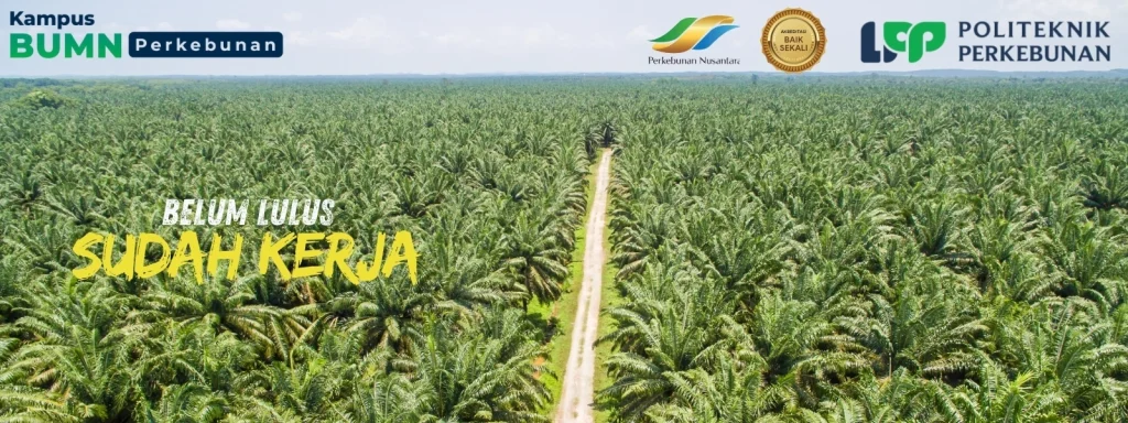 Politeknik LPP Yogyakarta resmi menjadi kampus Penerima Beasiswa Sawit 2025, Sejak 2016. Dapatkan kesempatan kuliah gratis di industri sawit!