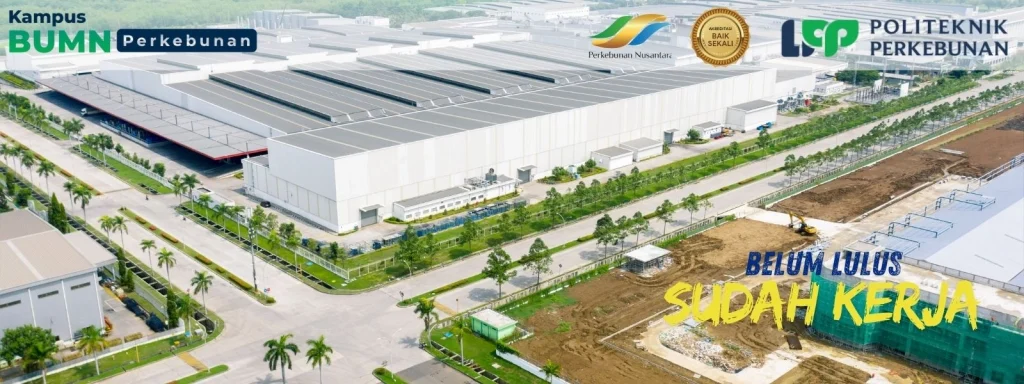 Belum lulus sudah kerja? Di Politeknik LPP Yogyakarta, kamu bisa kuliah beasiswa sambil magang dan dilirik industri bahkan sebelum wisuda!