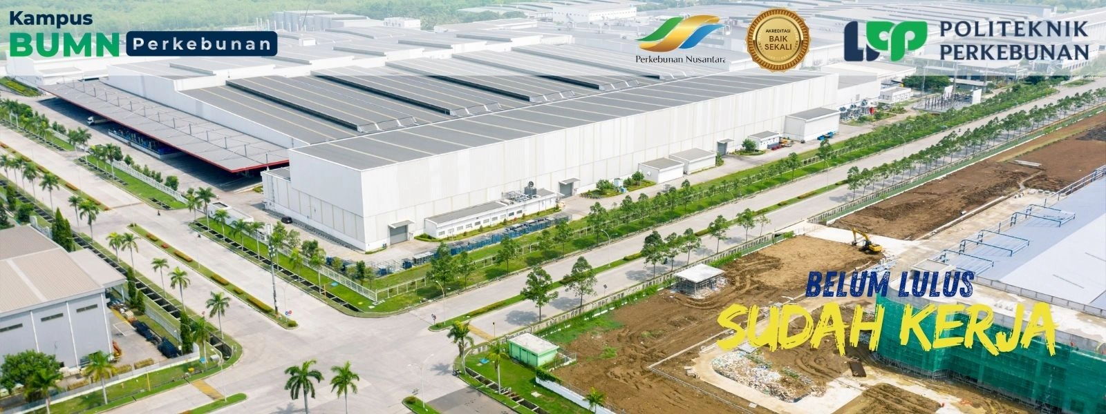 Belum lulus sudah kerja? Di Politeknik LPP Yogyakarta, kamu bisa kuliah beasiswa sambil magang dan dilirik industri bahkan sebelum wisuda!