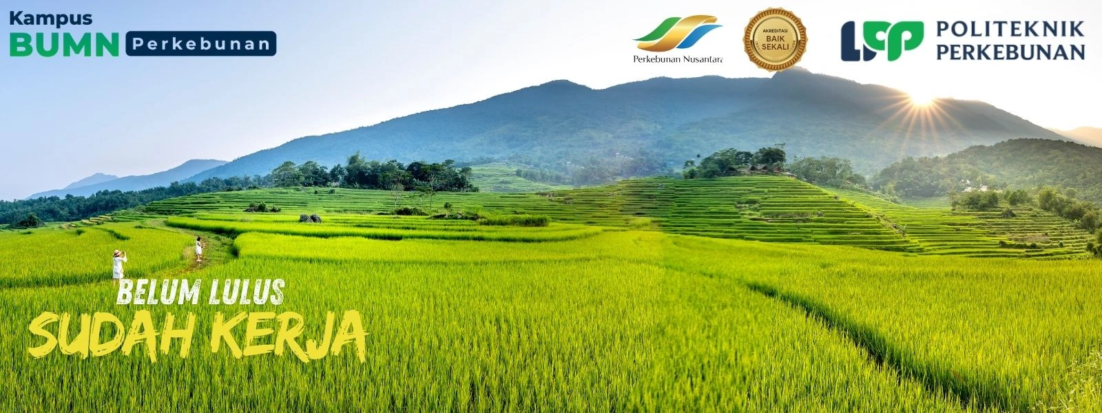 Ingin kuliah di Jogja tapi gak mau nunggu lama buat kerja? Temukan kampus BUMN dengan koneksi industri kuat dan program siap kerja di sini.