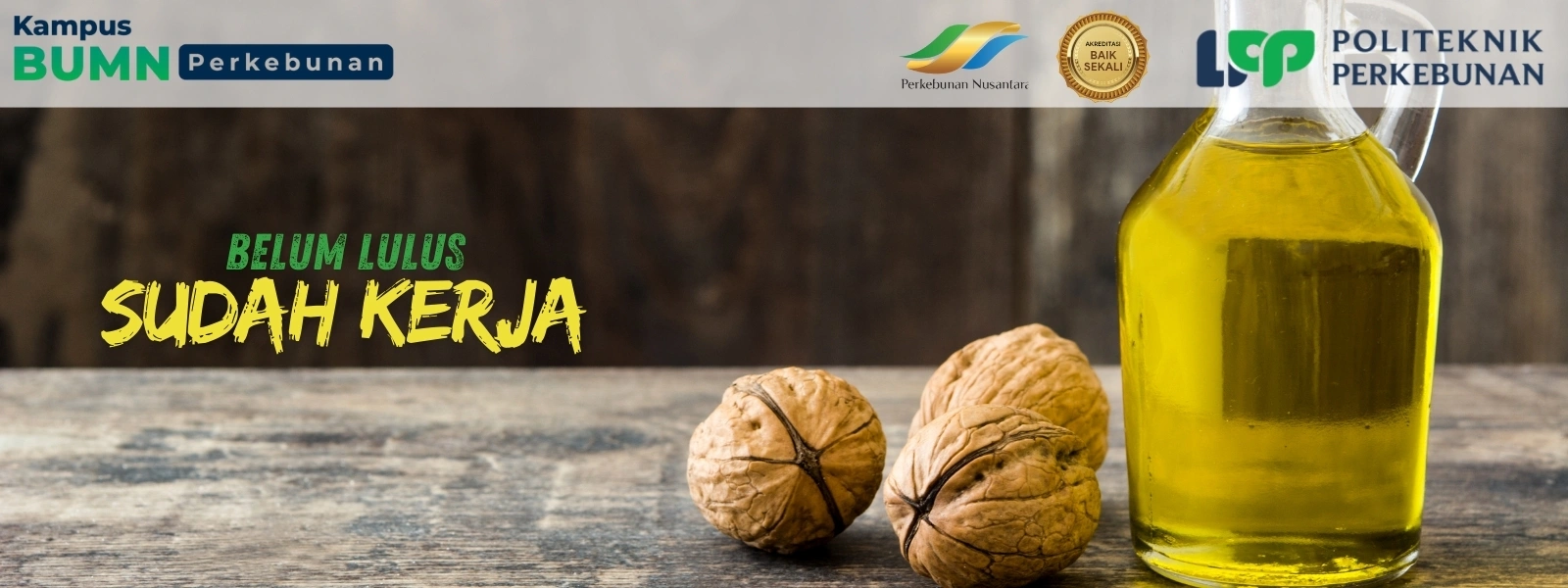Temukan jurusan terbaik untuk Beasiswa Sawit 2025 di Politeknik LPP Yogyakarta dan pelajari jurusan di industri sawit yang siap kerja!