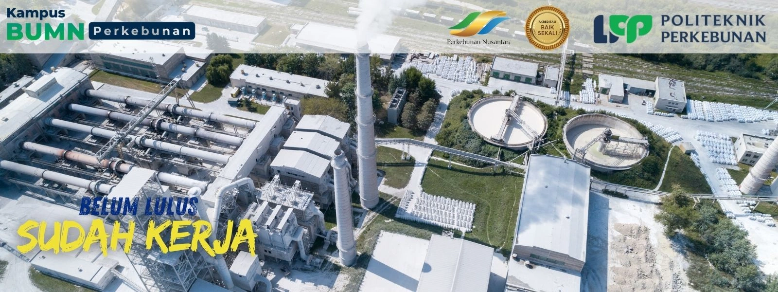 Kampus Siap Kerja? 87 mahasiswa Politeknik LPP Yogyakarta sukses tembus magang di perusahaan besar seperti PT Sampoerna Agro hingga Sinarmas.