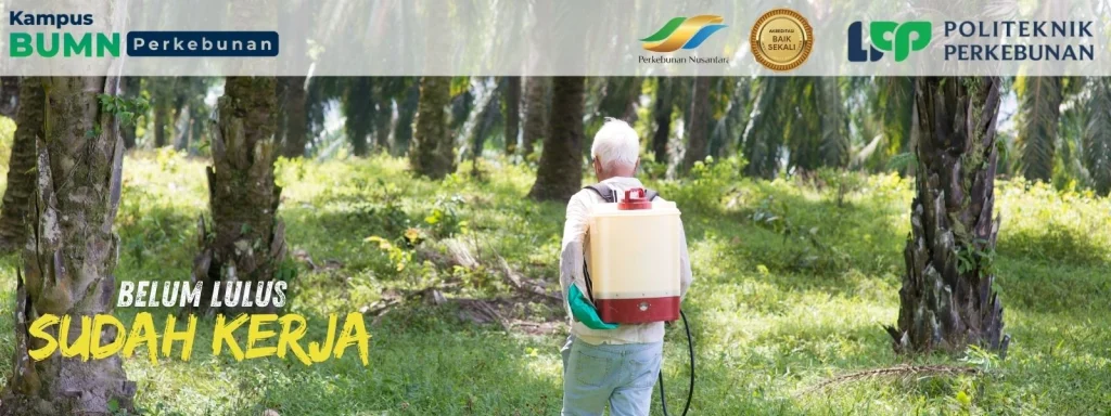 Ingin kuliah gratis dan langsung kerja? Beasiswa Sawit 2025 di Politeknik LPP Yogyakarta solusinya! Pelopor beasiswa perkebunan sejak 2016.