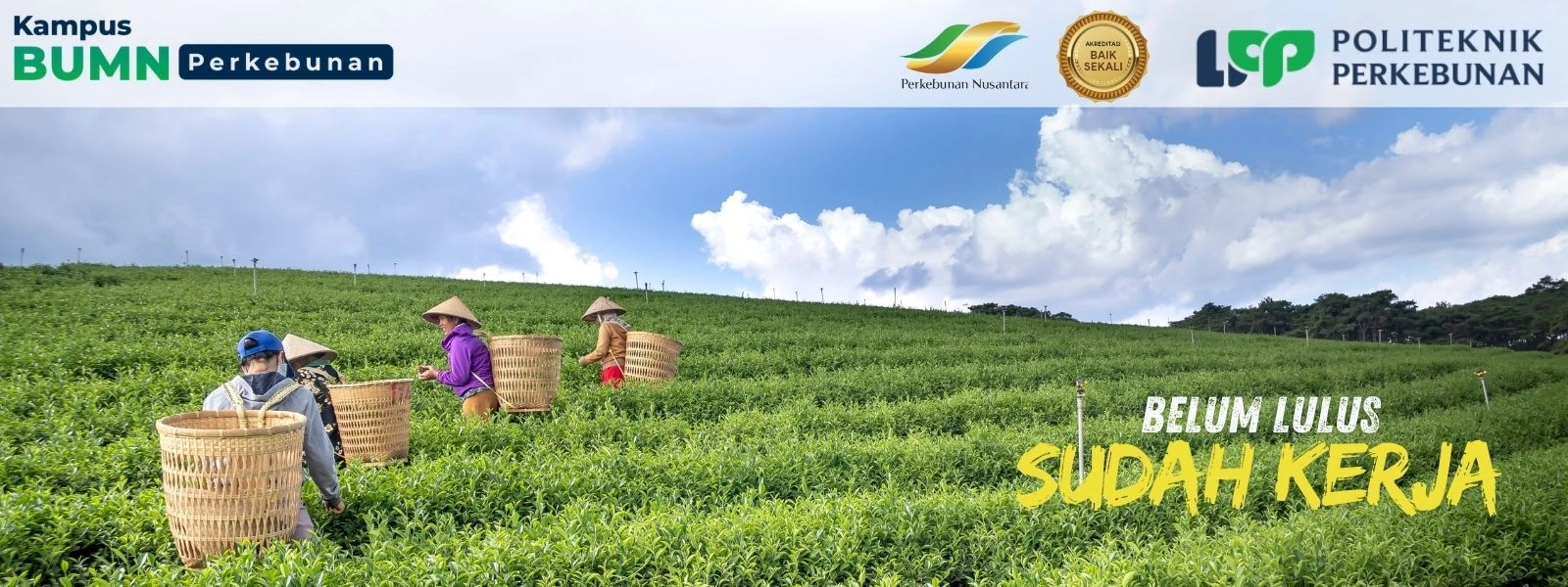Lulus Duluan, Kerja Duluan? Politeknik LPP Yogyakarta jawabannya! Terhubung ke industri nasional melalui magang dan jaringan kampus BUMN.