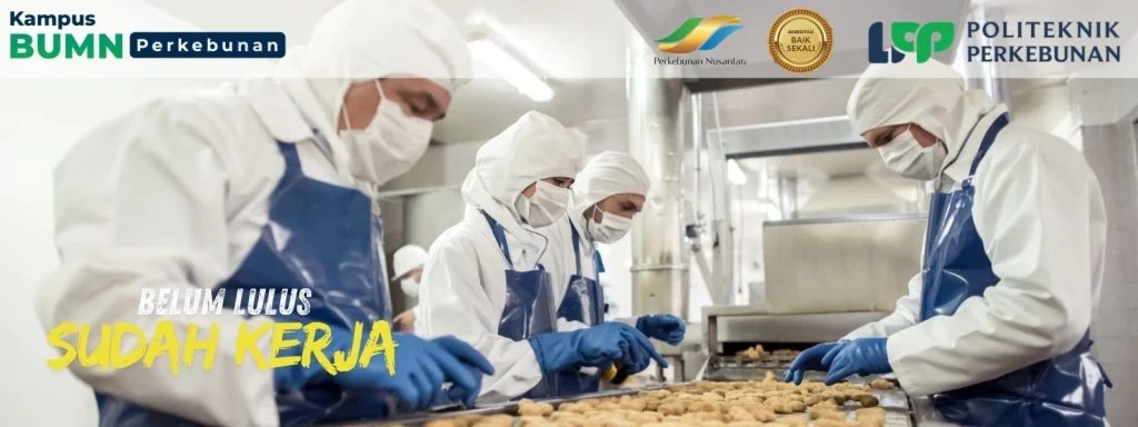 Cari jurusan yang lulus langsung dapat gaji dan anti-pengangguran? Cek 5 jurusan ini di Politeknik LPP Yogyakarta yang siap kerja!