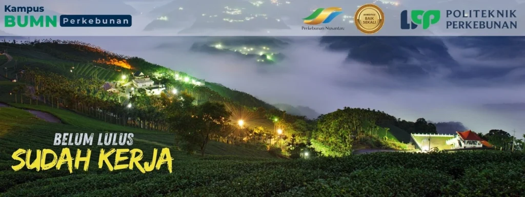 Mau kuliah di Jogja tapi gak mau nunggu lama untuk kerja? Program D2 di Politeknik LPP Yogyakarta jawabannya!