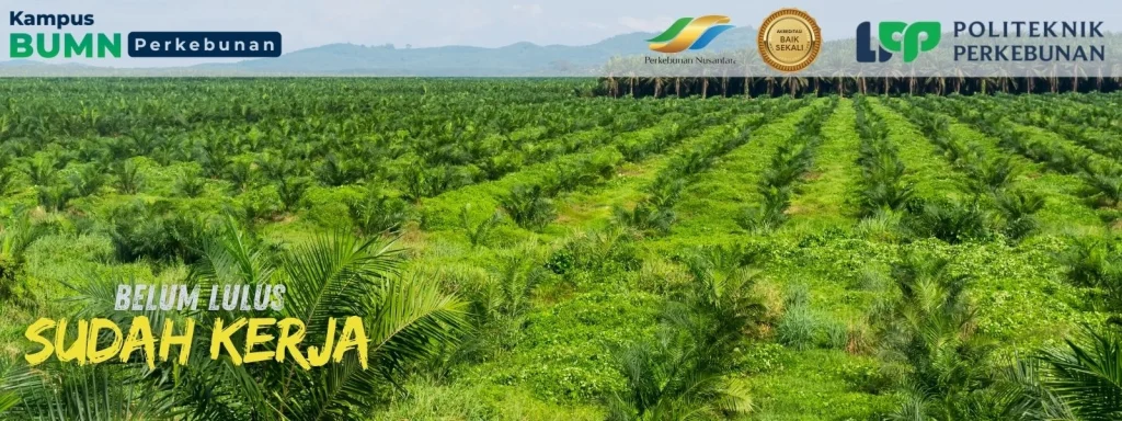 Pendaftaran Beasiswa Sawit 2025 di Politeknik LPP Yogyakarta dan kuliah gratis dengan prospek kerja cerah di industri sawit nasional