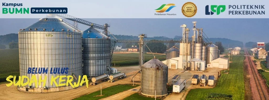 Kuliah cuma 2 tahun bisa langsung kerja? Yuk kenalan dengan Program Kuliah D2 di Politeknik LPP Yogyakarta. Prospek kerja di industri sawit!