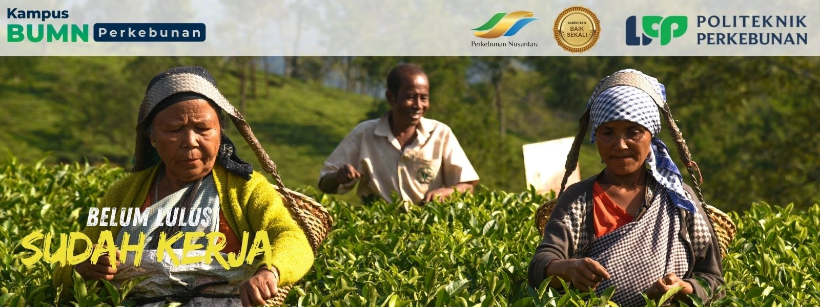 Kampus BUMN Perkebunan Terbaik? Politeknik LPP Yogyakarta hadir sebagai pilihan Kampus Industri terbaik tahun 2025 dengan program unggulan.