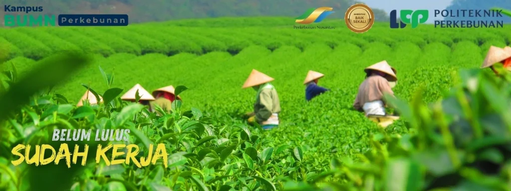 Kampus Vokasi Terbaik 2025? Politeknik LPP Yogyakarta hadir dengan program unggulan, koneksi industri nasional, dan peluang kerja nyata!