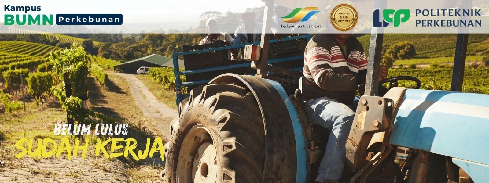 Kampus BUMN Siap Kerja di Jogja? Politeknik LPP Yogyakarta adalah kampus BUMN siap kerja, pelopor pendidikan perkebunan sejak 1950-an dan pilihan terbaik 2025!