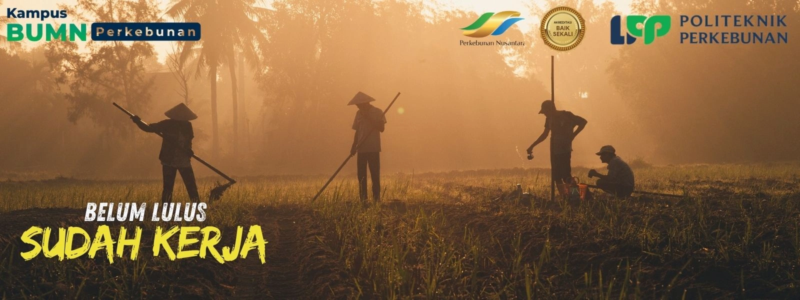 Politeknik LPP Yogyakarta adalah Kampus Perkebunan Favorit dengan peluang magang di perusahaan dan prospek karier di industri perkebunan.