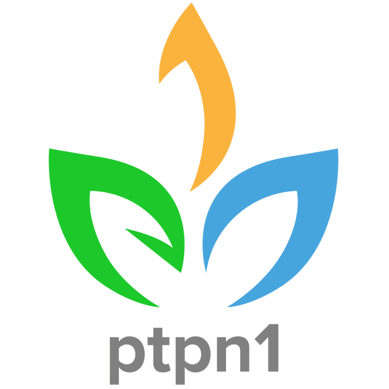 Dapatkan Beasiswa Tunas PTPN 1 di Politeknik LPP Yogyakarta! Pendaftaran 28 Juli - 8 Agustus 2025. Raih Kuliah gratis, uang saku, dll.