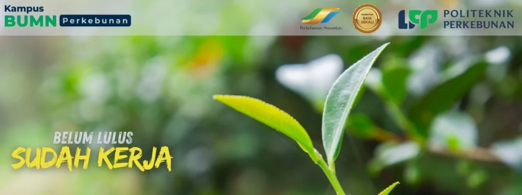 Kampus D3 Budidaya Tanaman Perkebunan - Politeknik LPP Yogyakarta dengan kurikulum praktis, magang BUMN, dan prospek karier di industri.