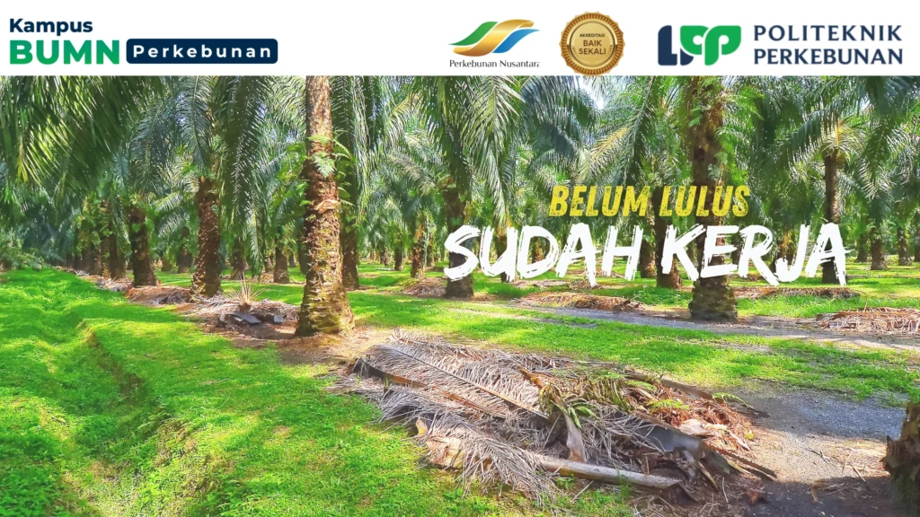 Temukan kampus akuntansi. Pelajari pilihan di UGM, UI, PKN STAN, dan PNJ untuk karier yang stabil dan menjanjikan