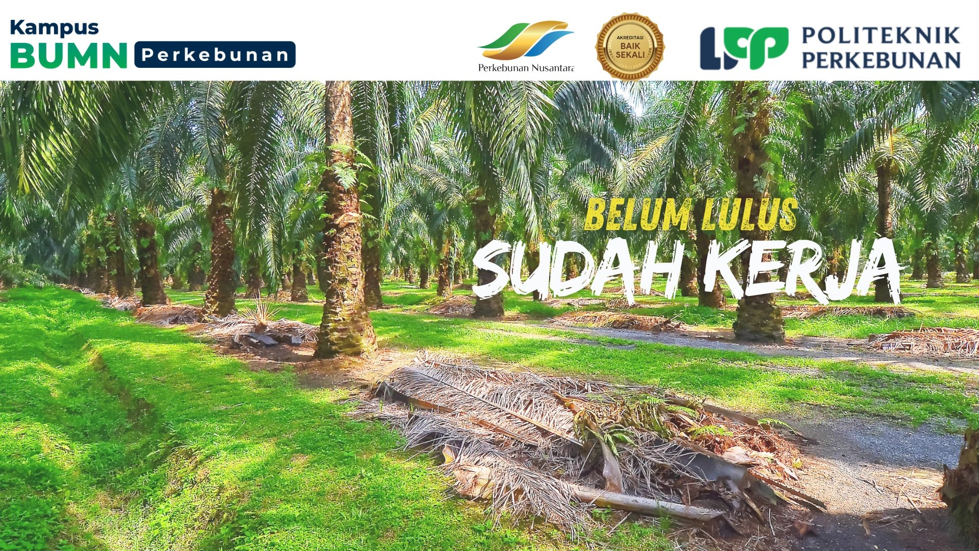 Jurusan D2 Perawatan Mesin Pengolah Hasil Perkebunan siapkan teknisi siap kerja. Kuasai troubleshooting, pemeliharaan mesin pabrik.