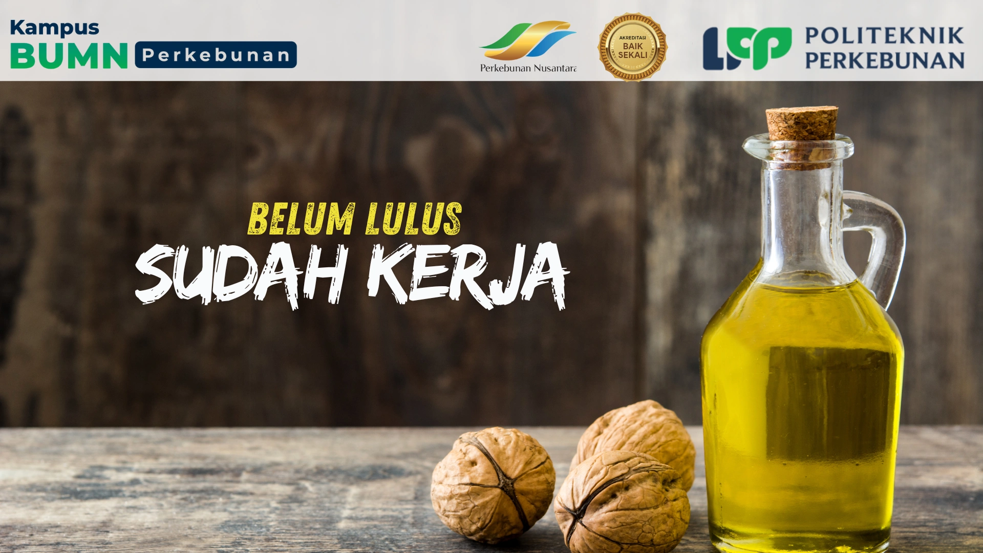 Jurusan D3 Akuntansi siapkan profesional siap kerja di bidang keuangan. Kuasai pembukuan, perpajakan, dan audit dengan kurikulum praktik.