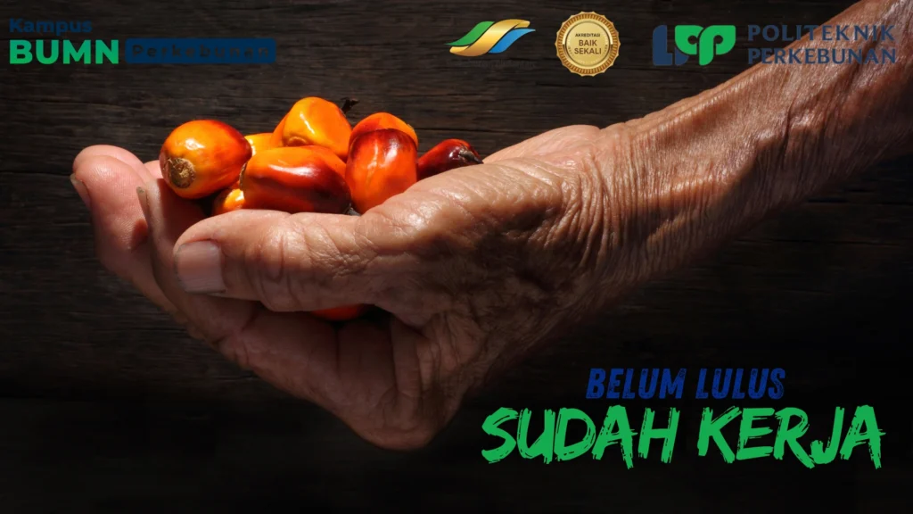 Temukan kampus terbaik Teknologi Rekayasa Kimia Industri. Pelajari pilihan di ITB, UGM, Polban, dan Politeknik LPP dengan prospek karier.