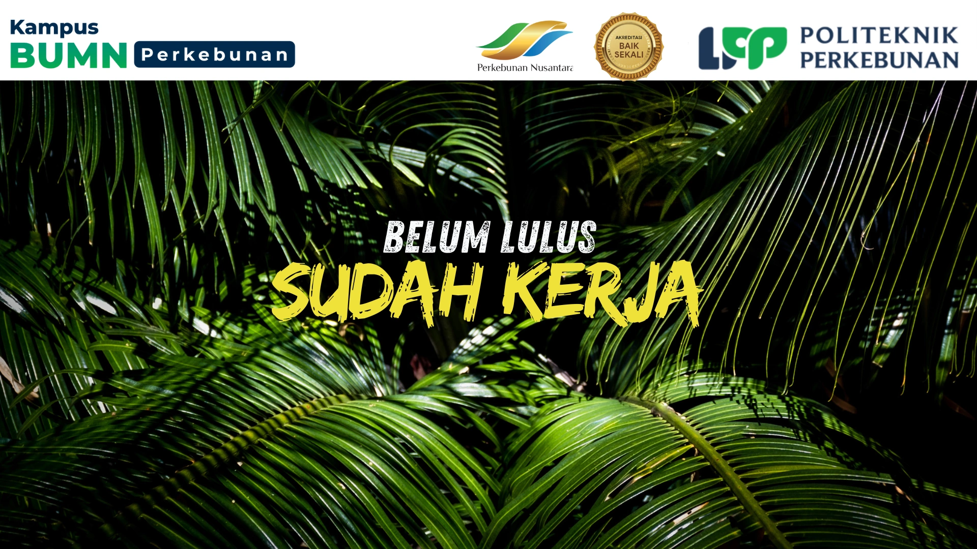 Temukan kampus perawatan mesin pengolah hasil perkebunan. Pelajari pilihan di Politeknik LPP, CWE, dan politeknik lain dengan prospek karier.