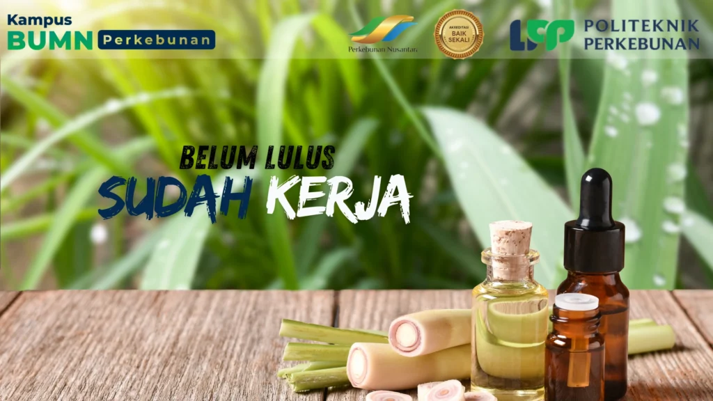 Temukan jurusan D3 favorit di Indonesia. Pilih program vokasi di bidang akuntansi, teknik, perhotelan, dan kebidanan dengan prospek karier.