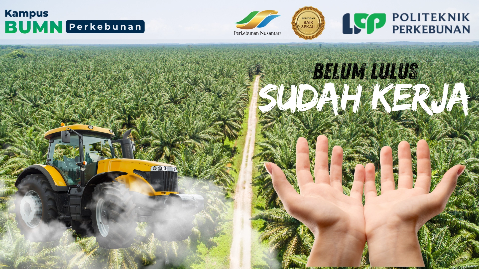Temukan peluang kerja pengelolaan perkebunan. Pelajari prospek karier luas sebagai asisten manajer, agronom, teknisi, dan gaji menjanjikan.