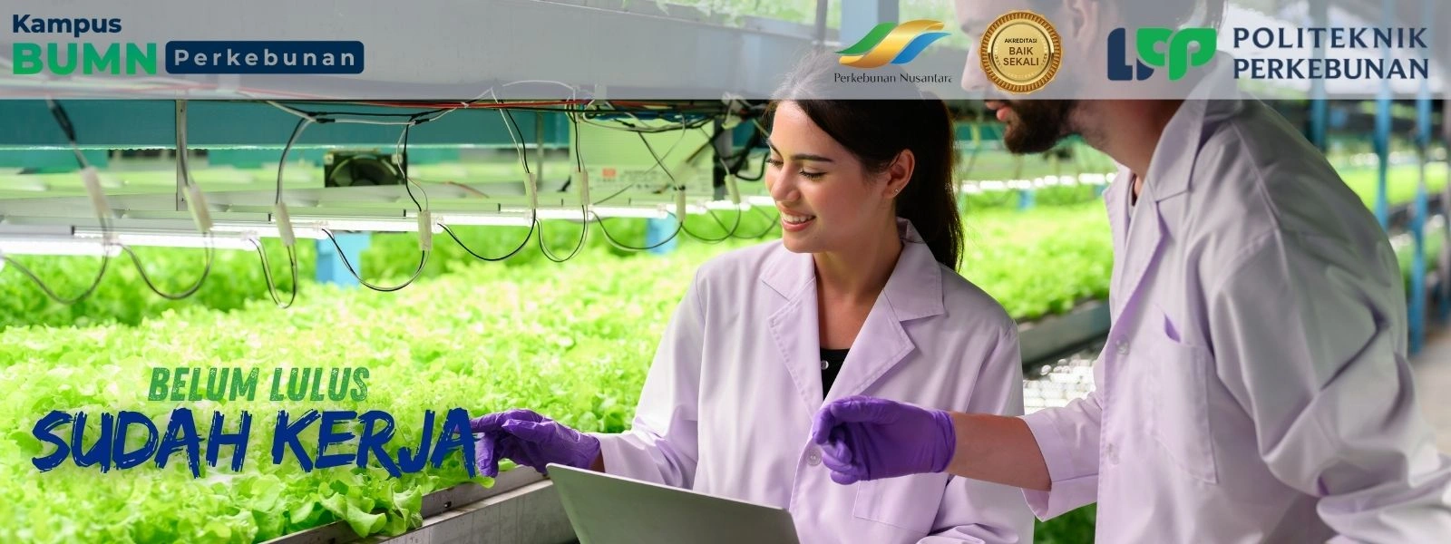 Jurusan Teknologi Rekayasa Kimia Industri (TRKI) Politeknik LPP Yogyakarta! Jurusan Sarjana Terapan untuk jadi Process Engineer.