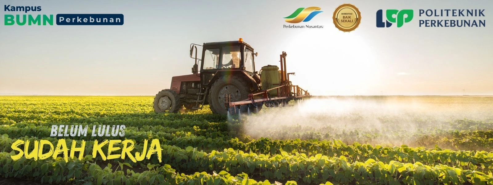 Daftar Jurusan Budidaya Tanaman Perkebunan (BTP) Politeknik LPP Yogyakarta! Program D3/D4 yang mencetak Asisten Manajer Kebun dan Agronomis.