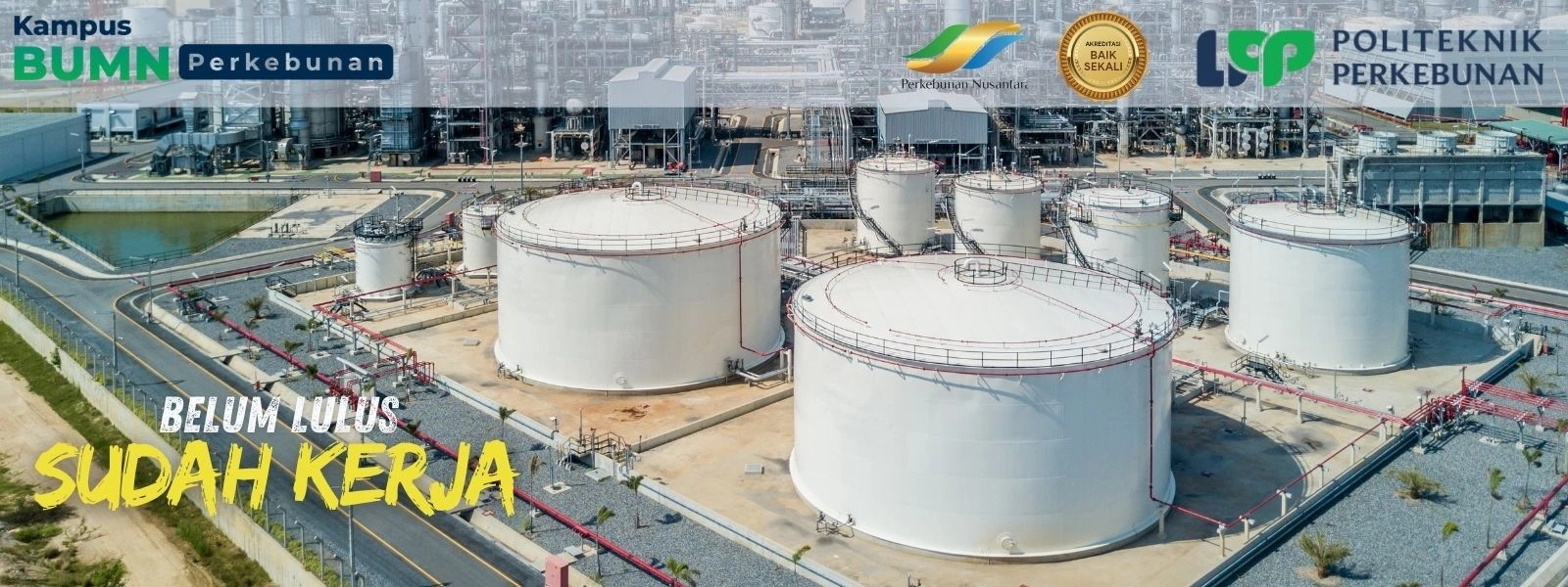 Daftar Jurusan Akuntansi D3 Politeknik LPP Yogyakarta! Ahli Madya spesialis Akuntansi Biaya & Keuangan Industri Perkebunan. Kurikulum 70%