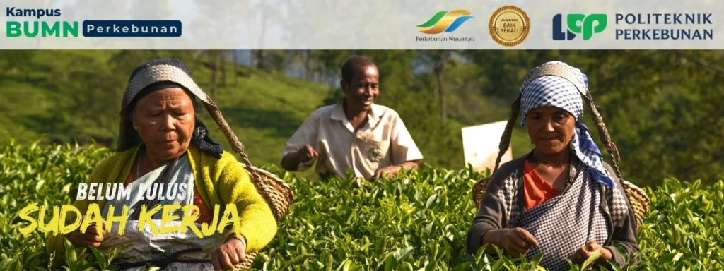 Mencari kampus industri perkebunan favorit Jogja? Politeknik LPP menawarkan pendidikan berkualitas, fasilitas modern, peluang karir luas.