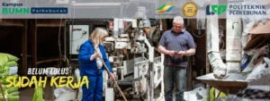Mencari Kampus dengan Mitra PTPN? Temukan peluang emas berkarir di BUMN Perkebunan melalui Politeknik LPP Yogyakarta.