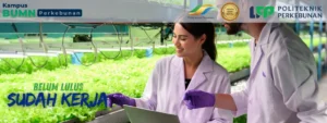 Tertarik berkarir di industri manufaktur dan perkebunan? Pelajari Program Teknologi Rekayasa Mesin di Politeknik LPP.