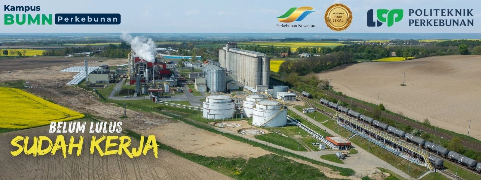 Mencari Kampus Ahli Perkebunan terpercaya? Politeknik LPP Yogyakarta adalah pusat pendidikan vokasi mitra BUMN yang unggul siap kerja.