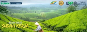 Cari Jurusan Pengelolaan Perkebunan terbaik? Politeknik LPP Yogyakarta mencetak lulusan siap kerja dengan kurikulum berbasis industri.