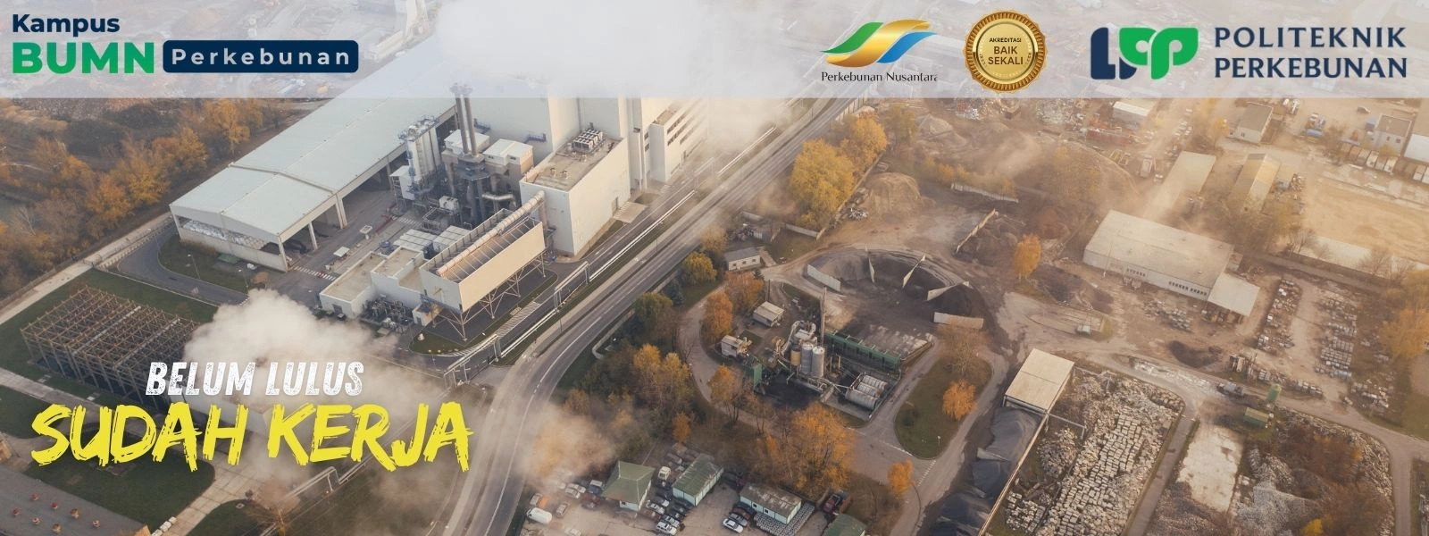 Mengupas tuntas Peluang Industri Sawit Masa Depan yang kian menjanjikan lewat energi terbarukan dan hilirisasi. Simak Politeknik Yogyakarta.