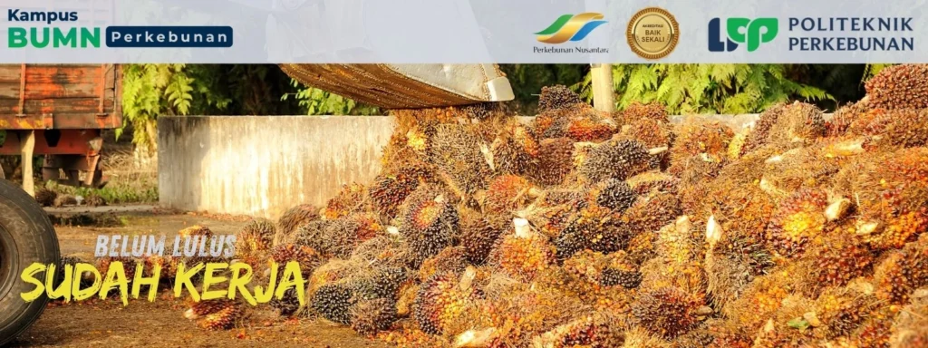 Mencari Kampus Berbasis Industri Sawit yang menjamin masa depan? Temukan keunggulan Politeknik LPP Yogyakarta dengan lulusan siap kerja.