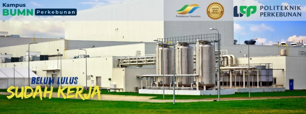 Cari Kampus Perkebunan Sawit dengan jaminan kualitas dan prospek kerja tinggi? Politeknik Yogyakarta adalah solusinya.