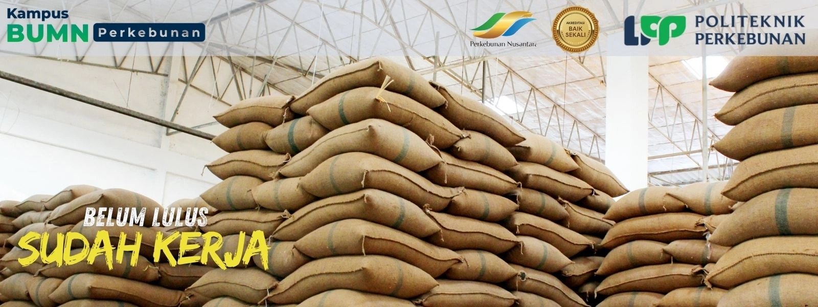 Ingin sukses di sektor agribisnis? Temukan alasannya memilih Kampus Masa Depan Industri Sawit di Politeknik Yogyakarta.