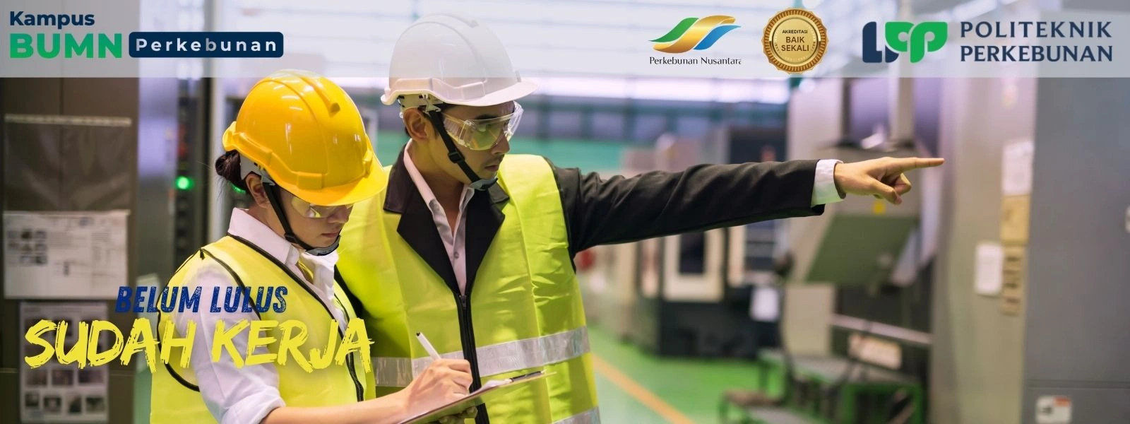 Simak panduan kuliah perkebunan siap kerja, daftar kampus terbaik, dan peluang kerja di industri sawit serta komoditas global.